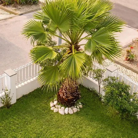 בית נופש Family House With Sea View In *